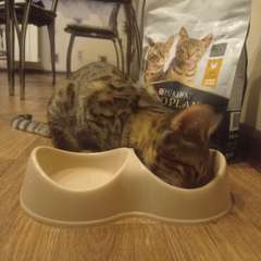 Фото отзыва 10781213