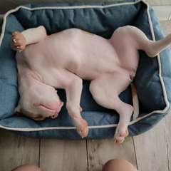 Фото отзыва 11086476