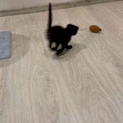 Видео отзыва 10643435