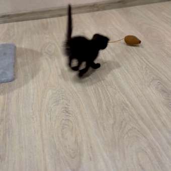 Игрушка для кошек Barbaks Мышка мягкая с кошачьей мятой 16.5*4см: отзыв пользователя. Зоомагазин Зоозавр