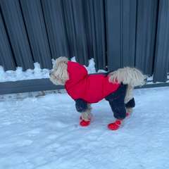 Фото отзыва 10908076