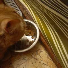 Фото отзыва 10631196