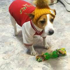 Фото отзыва 10904258