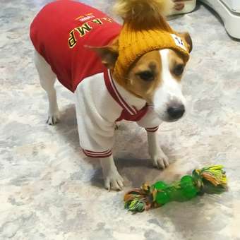 Игрушка для собак Barbaks Кость на канатике 32см: отзыв пользователя. Зоомагазин Зоозавр