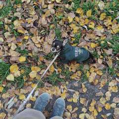 Фото отзыва 10525411