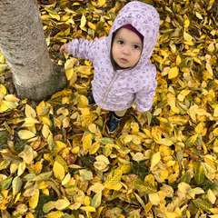 Фото отзыва 10612859