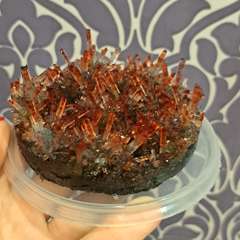 Фото отзыва 11026274