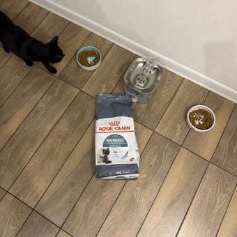 Корм сухой для кошек ROYAL CANIN Hairball Care 2кг для профилактики образования волосяных комочков в желудочно-кишечном тракте: отзыв пользователя. Зоомагазин Зоозавр