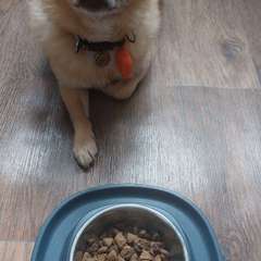 Фото отзыва 10543156