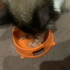 Фото отзыва 10461707