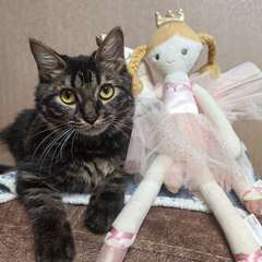 Фото отзыва 10630041