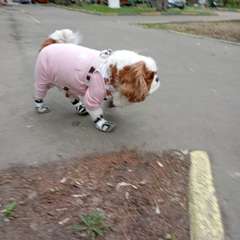 Фото отзыва 10512214