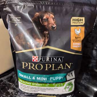 Корм для щенков PRO PLAN HEALTHY START 700 г с высоким содержанием курицы для мелких и карликовых пород: отзыв пользователя. Зоомагазин Зоозавр