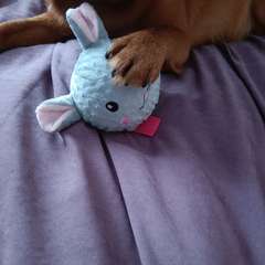 Фото отзыва 10727436