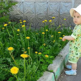 Песочник Рекантино: отзыв пользователя Детский Мир