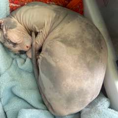 Фото отзыва 10966242