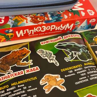 Настольная игра Десятое королевство НГ Иллюзориум Зимние забавы: отзыв пользователя Детский Мир