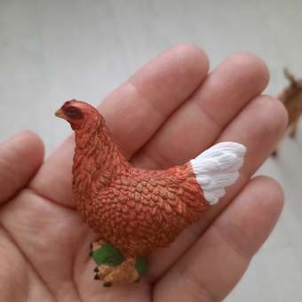 Фигурка Collecta Курица: отзыв пользователя Детский Мир