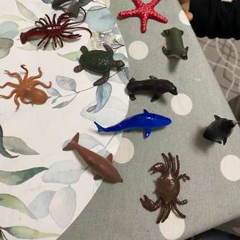 Игровой набор 1TOY Морские Обитатели: отзыв пользователя ДетМир