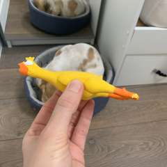 Фото отзыва 8983569