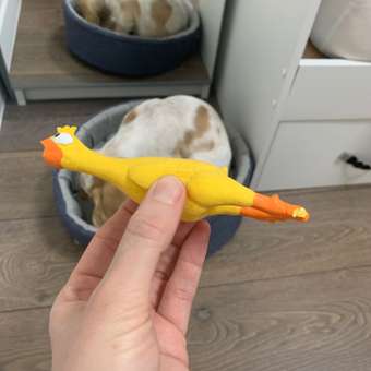 Игрушка для собак Triol Утка из латекса 140мм: отзыв пользователя. Зоомагазин Зоозавр