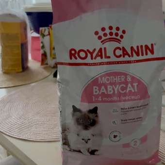 Корм сухой для котят ROYAL CANIN Mother and Babycat 2кг: отзыв пользователя. Зоомагазин Зоозавр