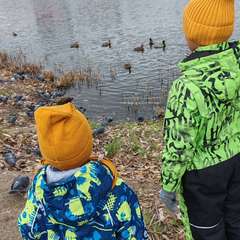 Фото отзыва 10762703