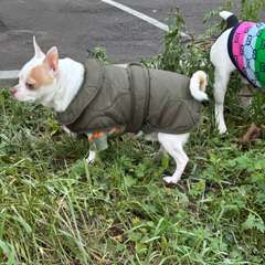 Фото отзыва 10735119