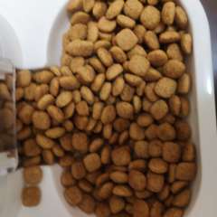 Фото отзыва 10631991