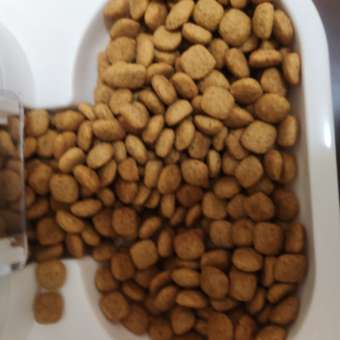 Корм для кошек ROYAL CANIN Neutered Satiety Balance стерилизованных 1.5кг: отзыв пользователя. Зоомагазин Зоозавр