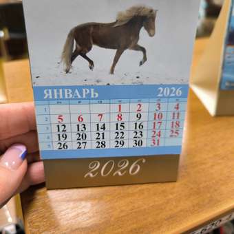 Календарь-домик Атберг 98 настольный 2026 100*140 в ассортименте: отзыв пользователя магазина низких цен ЕЩЁ