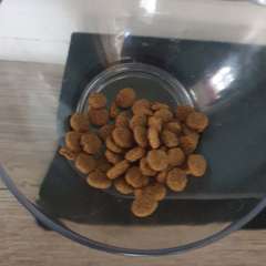 Фото отзыва 10978590