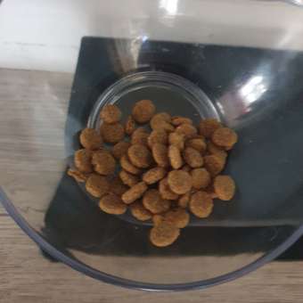 Корм сухой для кошек PRO PLAN RENAL PLUS 400г с курицы: отзыв пользователя. Зоомагазин Зоозавр