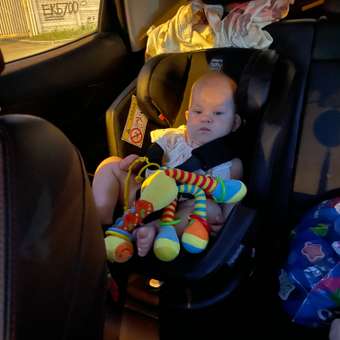 Автокресло Amarobaby Favorite Isofix 0+/1/2/3 (0-36 кг) серый: отзыв пользователя Детский Мир