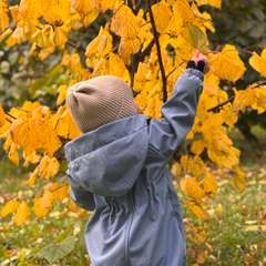 Фото отзыва 10630633