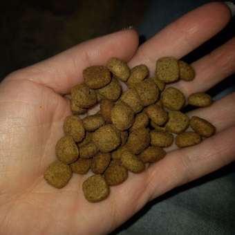 Корм для собак ROYAL CANIN Gastro Intestinal Low Fat LF22 при нарушении пищеварения с ограниченным содержанием жиров 1.5кг: отзыв пользователя. Зоомагазин Зоозавр