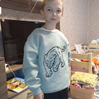 Свитшот Futurino: отзыв пользователя Детский Мир