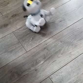 Собака РУ Mobicaro Собака: отзыв пользователя Детский Мир