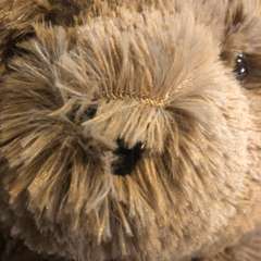 Фото отзыва 10743891