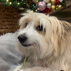 Фото отзыва 10916822