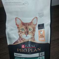 Фото отзыва 10721668