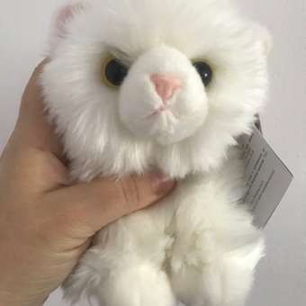 Мягкая игрушка Aurora котик: отзыв пользователя Детский Мир