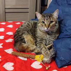 Фото отзыва 10550043