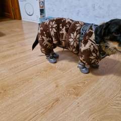 Фото отзыва 10932378