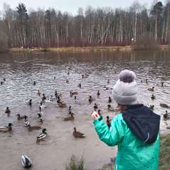 Фото отзыва 10743345