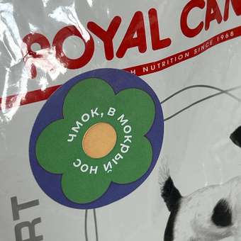 Корм для собак ROYAL CANIN Ньютрид Эдалт Смол Догз 0.8кг: отзыв пользователя. Зоомагазин Зоозавр