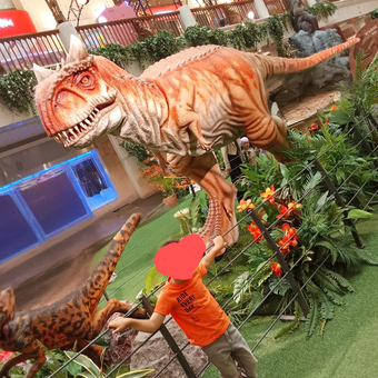 Кеды Jook: отзыв пользователя Детский Мир