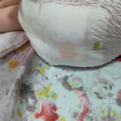 Фото отзыва 10709282