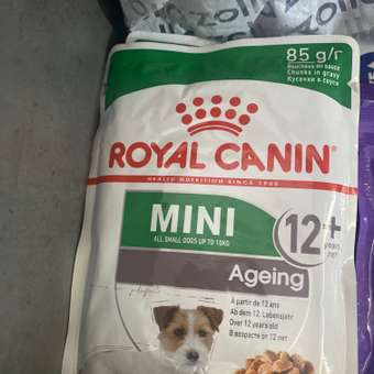 Корм для собак ROYAL CANIN Mini Ageing 12+ для стареющих собак мелких размеров 85г: отзыв пользователя. Зоомагазин Зоозавр