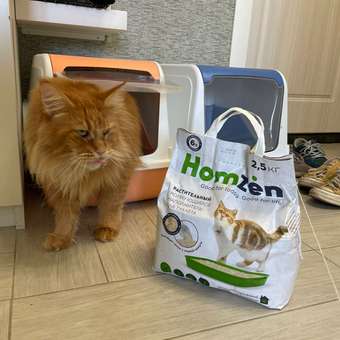 Наполнитель для кошачьего туалета Homzen комкующийся растительный 2.5кг: отзыв пользователя. Зоомагазин Зоозавр